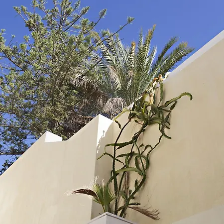 Historical Center Appartement